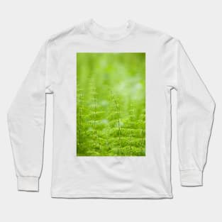 Wood Horsetail Long Sleeve T-Shirt